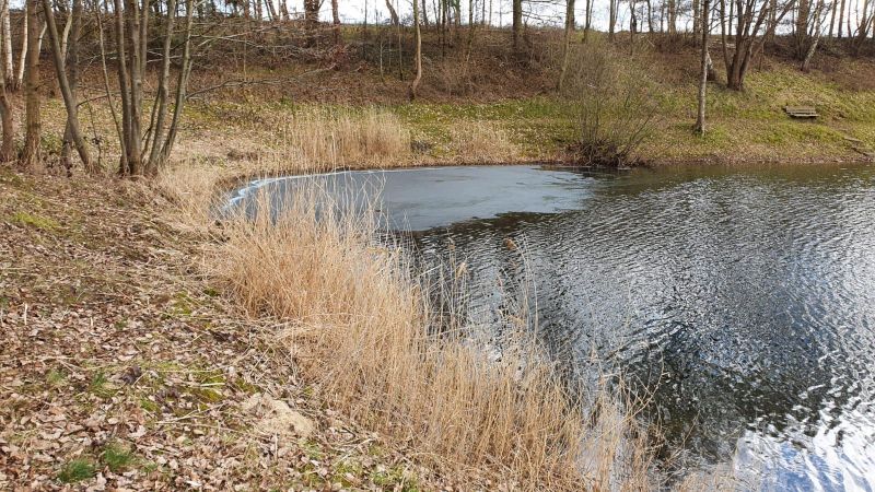 Technische Hilfeleistung Wasser - Verunreinigung (THWV)